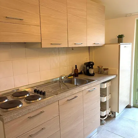 Petit - Vieux Apartment Menton